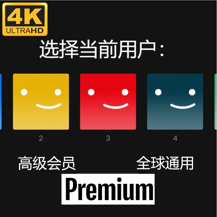 Netflix  | 1个月定制 奈飞 网飞