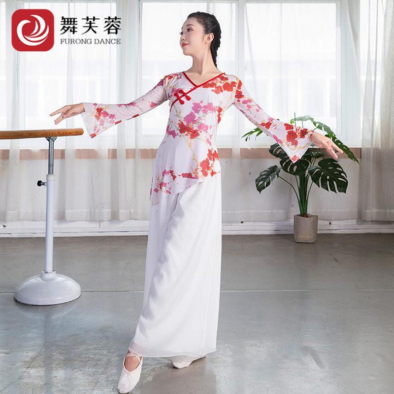 古典舞服网纱女飘逸练功服基训艺考表演服民族中国舞身韵舞蹈纱衣