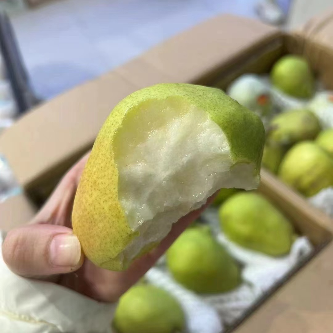 （南康1988水果同城小时达）库尔勒香梨一件