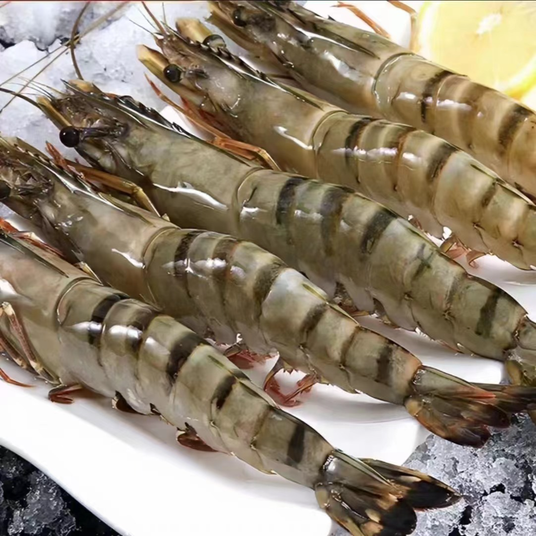 【超大黑虎虾】10-15条/斤(每条15-18厘米) 当天海捕活冻 不掺杂虾