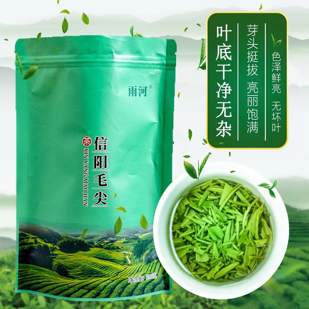2023年信阳毛尖新茶明前高碎断芽茶一斤装z