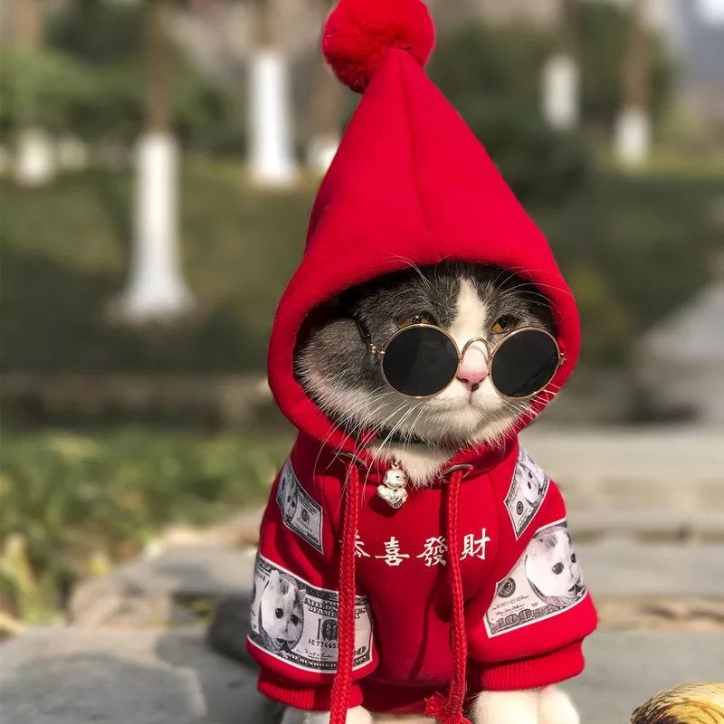 宠物新年恭喜发财秋冬装比熊雪纳瑞小型犬猫咪泰迪狗狗幼犬衣服