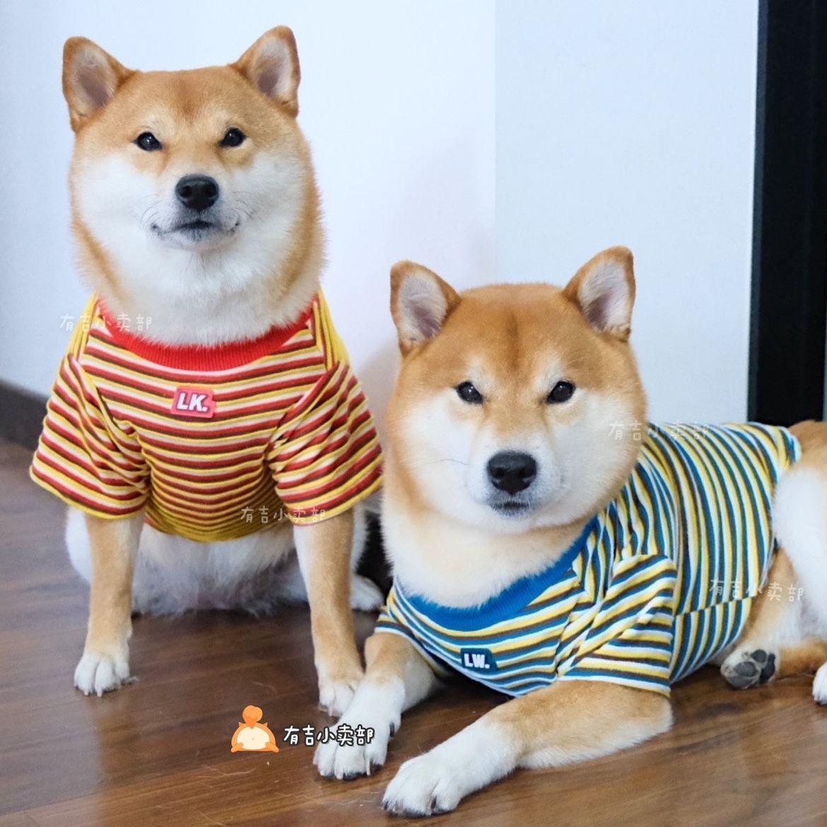 泰迪雪纳瑞柴犬比熊小型犬宠物猫咪狗狗衣服新款秋冬装条纹T恤