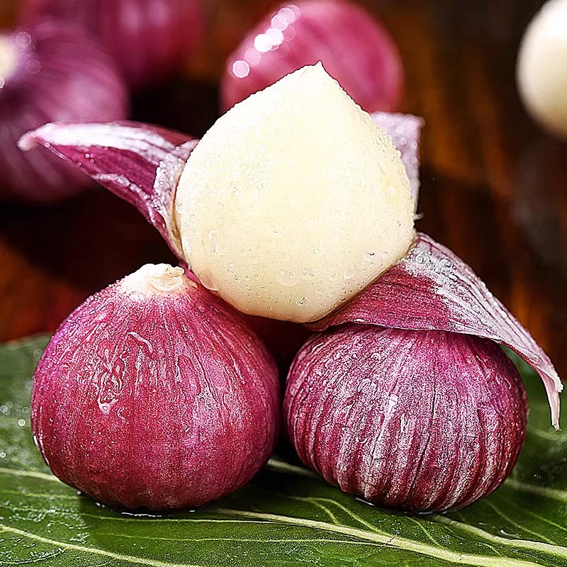 紫皮独头蒜新鲜大蒜农家新蒜蒜头云南干蒜自然大蒜独头蒜佳品营养