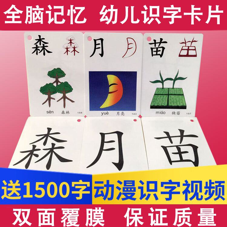 识字卡3000字 幼儿园小班启蒙小学一年级常用全脑记忆趣味认字卡