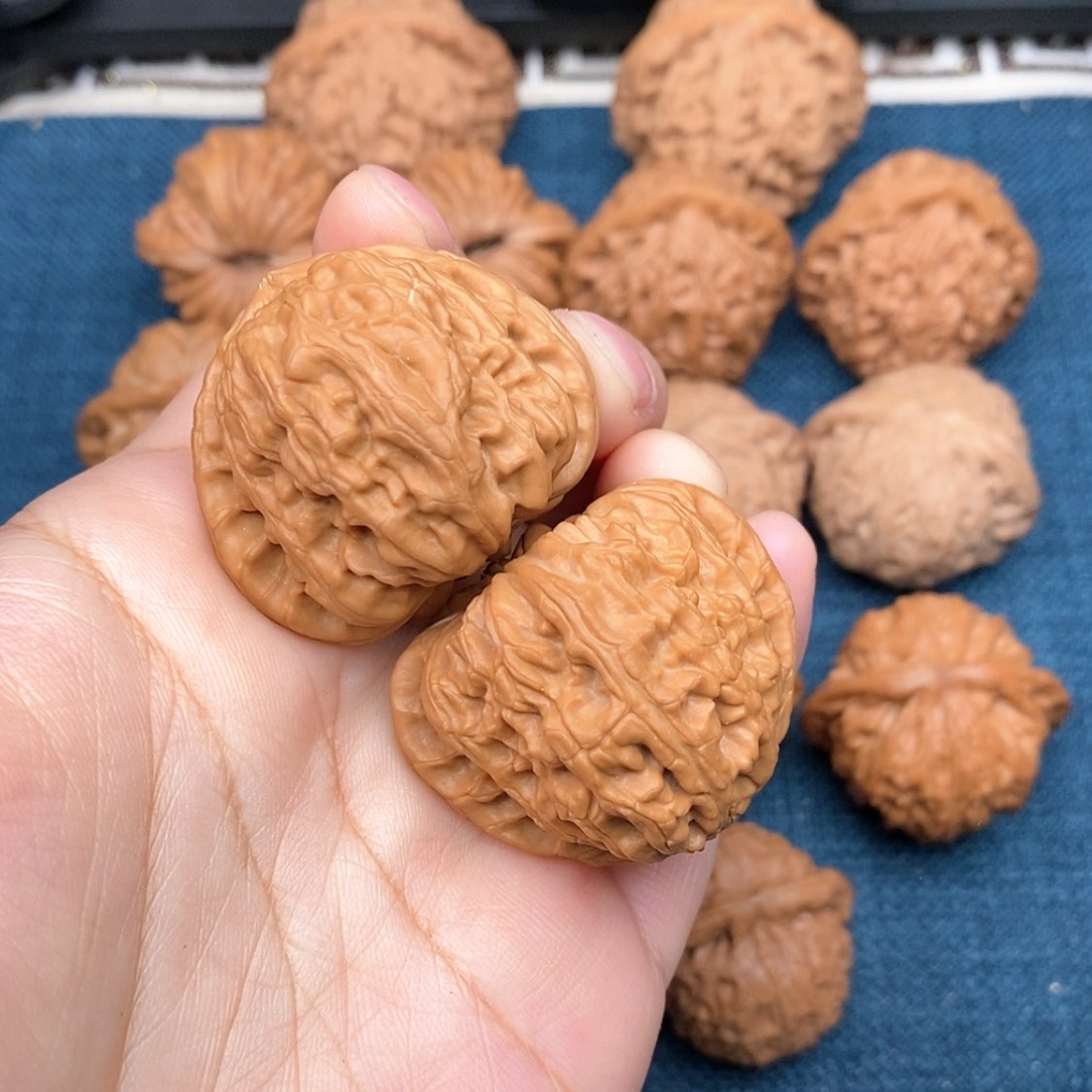 【闪购商品】文玩核桃把件拣**枝