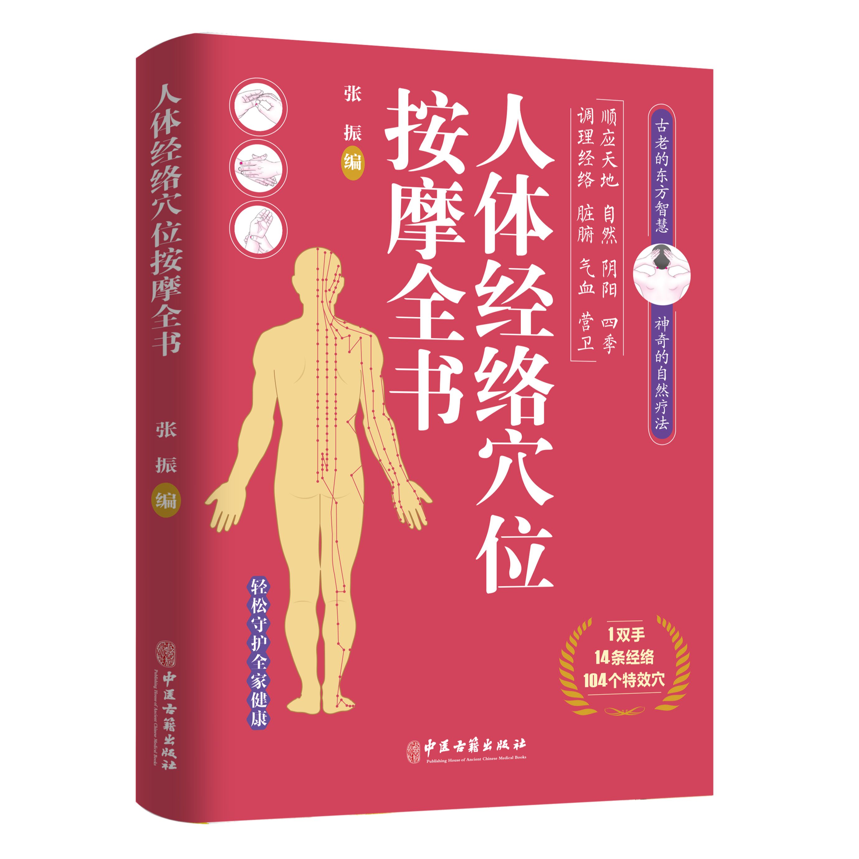 正版推荐人体经络穴位按摩全书 日常养生原理基本手法治病曲黎敏