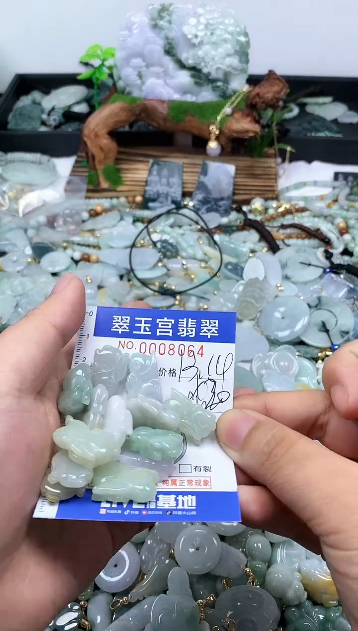 【闪购商品】翡翠颈饰未镶嵌0008064多样性发其一