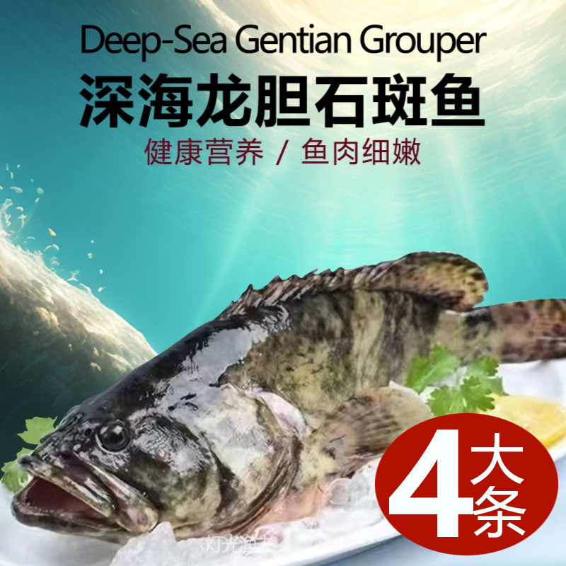 5.2斤共4大条J龙胆珍珠斑深海龙胆石斑鱼 速冻平均1.3斤左右/条