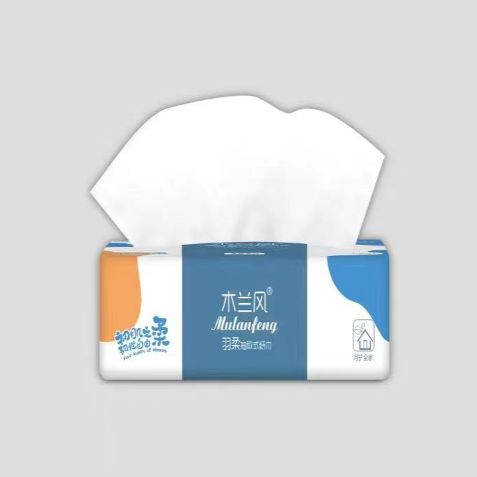 抽纸透气男士时尚夏季宽松男鞋凉鞋经典学生沙滩鞋一包便捷式抽纸