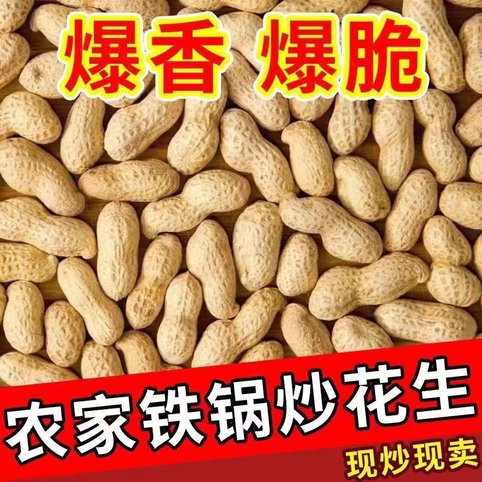 (今年新货)原味炒花生现炒现卖柴火铁锅炒熟花生带壳日照绿茶特级