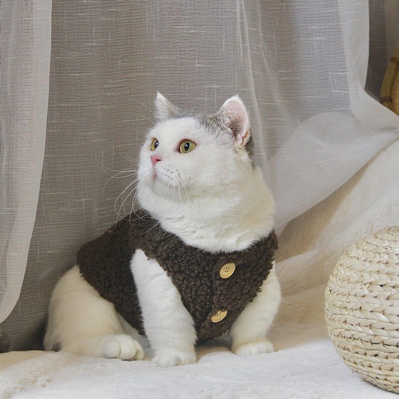 加绒保暖羊羔毛马甲背心猫咪衣服秋冬季小型犬泰迪狗狗宠物衣服厚