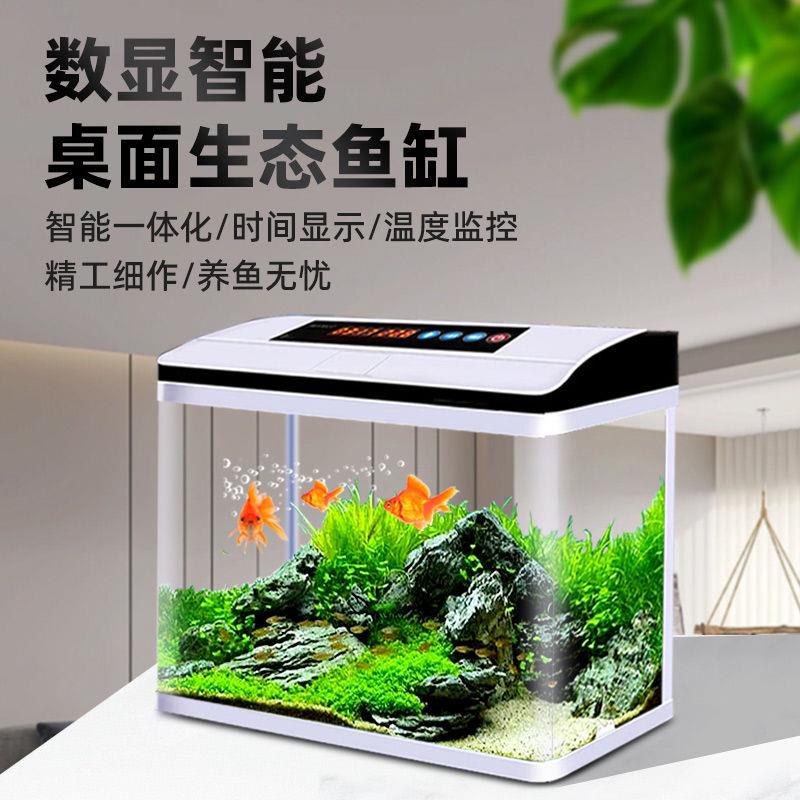 鱼缸水族箱盖板免换水自循环生态鱼缸小型桌面客厅小金鱼缸通用型