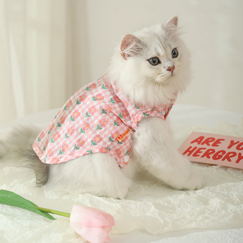 猫咪衣服夏季薄款防掉毛幼猫布偶猫英短小猫夏天宠物猫猫无袖背心